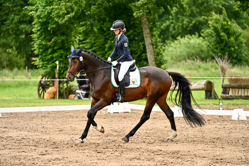Goldene Schärpe Pferfde in Löningen 2026 | 12062026Dressur B _1002 
