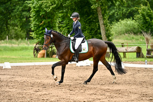 Goldene Schärpe Pferfde in Löningen 2026 | 12062026Dressur B _1003 