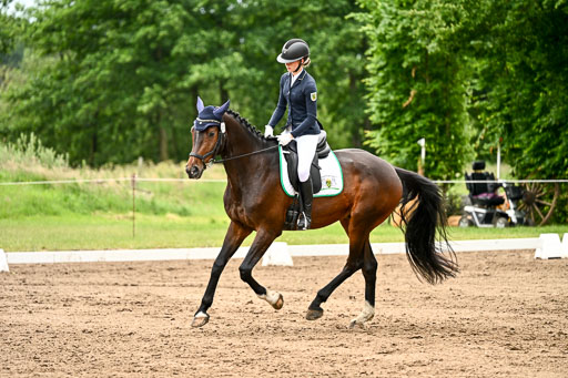 Goldene Schärpe Pferfde in Löningen 2026 | 12062026Dressur B _1004 