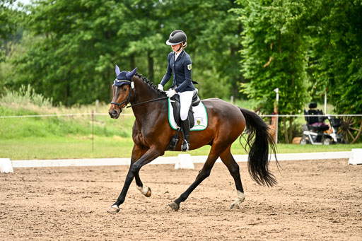 Goldene Schärpe Pferfde in Löningen 2026 | 12062026Dressur B _1005 