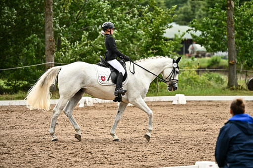 Goldene Schärpe Pferfde in Löningen 2026 | 12062026Dressur B _1012 