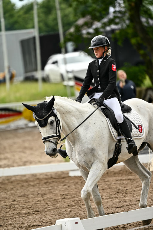 Goldene Schärpe Pferfde in Löningen 2026 | 12062026Dressur B _1014 
