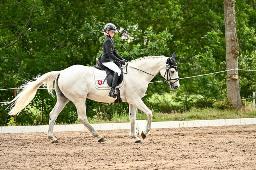Goldene Schärpe Pferfde in Löningen 2026 | 12062026Dressur B _1015 