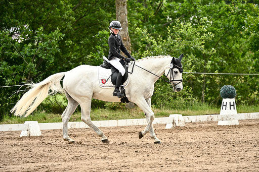 Goldene Schärpe Pferfde in Löningen 2026 | 12062026Dressur B _1016 