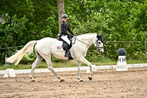 Goldene Schärpe Pferfde in Löningen 2026 | 12062026Dressur B _1017 