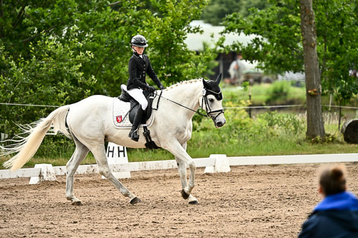 Goldene Schärpe Pferfde in Löningen 2026 | 12062026Dressur B _1018 