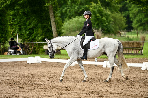 Goldene Schärpe Pferfde in Löningen 2026 | 12062026Dressur B _1028 