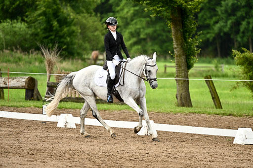 Goldene Schärpe Pferfde in Löningen 2026 | 12062026Dressur B _1031 