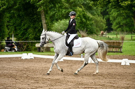 Goldene Schärpe Pferfde in Löningen 2026 | 12062026Dressur B _1036 