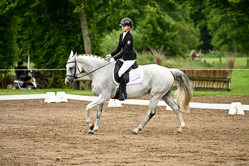 Goldene Schärpe Pferfde in Löningen 2026 | 12062026Dressur B _1037 