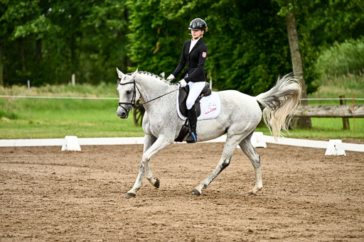 Goldene Schärpe Pferfde in Löningen 2026 | 12062026Dressur B _1038 