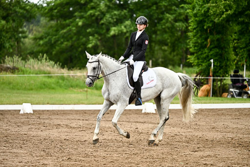 Goldene Schärpe Pferfde in Löningen 2026 | 12062026Dressur B _1039 