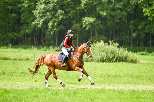  | 13062026 Gelände 1Abt_0587 