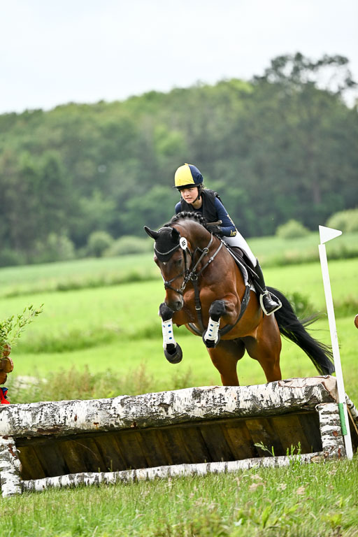  | 13062026 Gelände 2 Abt_1211 