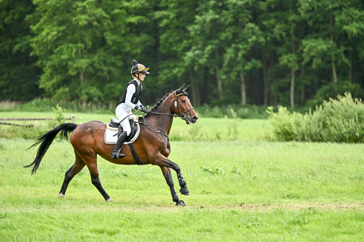  | 13062026 Gelände 2 Abt_1291 