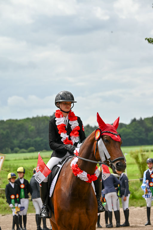 Goldene Schärpe Pferfde in Löningen 2026 | 14062026 Siegerehrung _048 