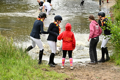 Goldene Schärpe Pferfde in Löningen 2026 | 14062026 Siegerehrung _320 