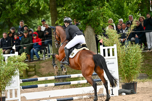 Goldene Schärpe Pferfde in Löningen 2026 | 14062026 Springen 1 Abt_002 