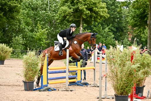 Goldene Schärpe Pferfde in Löningen 2026 | 14062026 Springen 1 Abt_004 