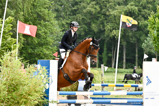 Goldene Schärpe Pferfde in Löningen 2026 | 14062026 Springen 1 Abt_008 