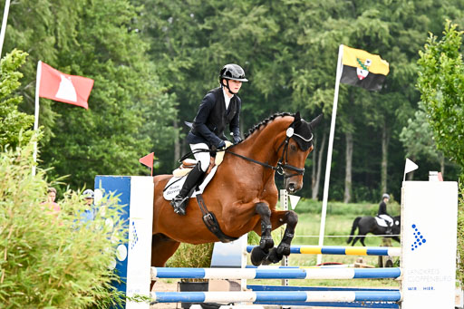 Goldene Schärpe Pferfde in Löningen 2026 | 14062026 Springen 1 Abt_009 