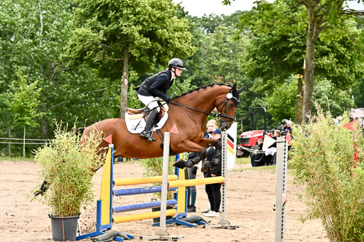 Goldene Schärpe Pferfde in Löningen 2026 | 14062026 Springen 1 Abt_010 