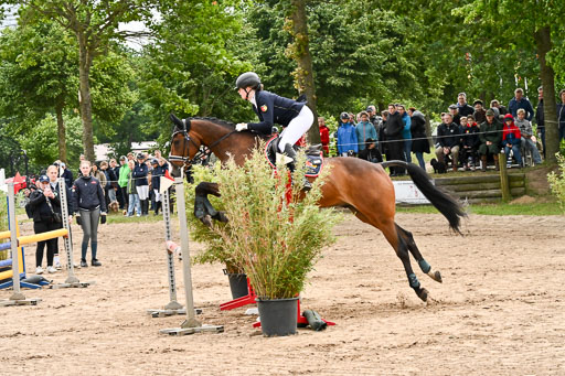 Goldene Schärpe Pferfde in Löningen 2026 | 14062026 Springen 1 Abt_019 