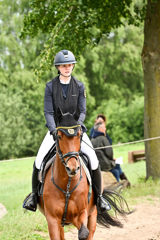 Goldene Schärpe Pferfde in Löningen 2026 | 14062026 Springen 1 Abt_021 