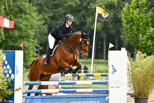 Goldene Schärpe Pferfde in Löningen 2026 | 14062026 Springen 1 Abt_022 
