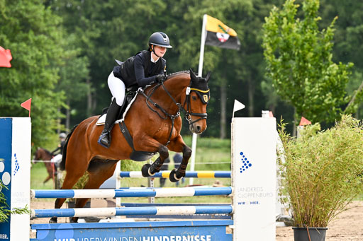 Goldene Schärpe Pferfde in Löningen 2026 | 14062026 Springen 1 Abt_023 