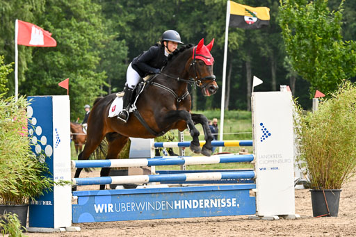Goldene Schärpe Pferfde in Löningen 2026 | 14062026 Springen 1 Abt_034 