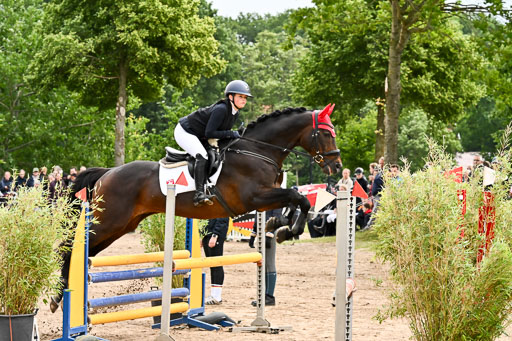 Goldene Schärpe Pferfde in Löningen 2026 | 14062026 Springen 1 Abt_036 