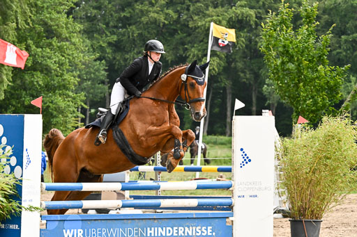 Goldene Schärpe Pferfde in Löningen 2026 | 14062026 Springen 1 Abt_043 