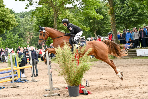Goldene Schärpe Pferfde in Löningen 2026 | 14062026 Springen 1 Abt_050 