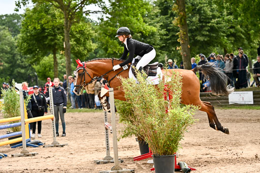 Goldene Schärpe Pferfde in Löningen 2026 | 14062026 Springen 1 Abt_074 