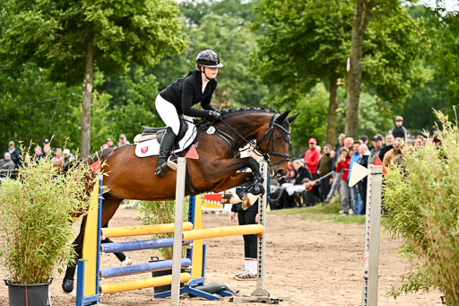Goldene Schärpe Pferfde in Löningen 2026 | 14062026 Springen 1 Abt_085 