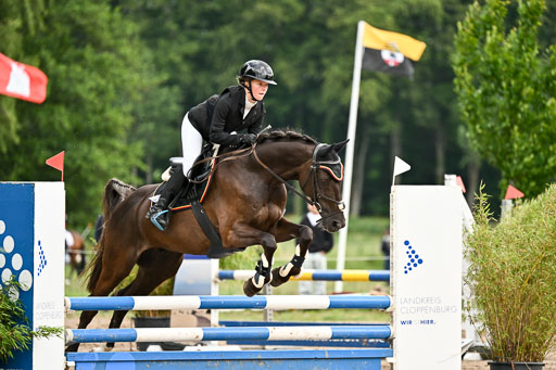 Goldene Schärpe Pferfde in Löningen 2026 | 14062026 Springen 1 Abt_093 