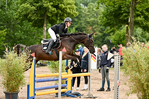 Goldene Schärpe Pferfde in Löningen 2026 | 14062026 Springen 1 Abt_095 