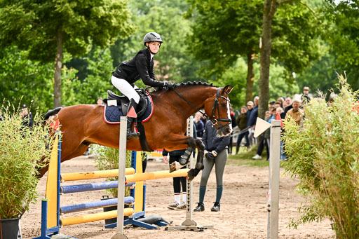 Goldene Schärpe Pferfde in Löningen 2026 | 14062026 Springen 1 Abt_107 