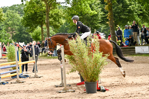 Goldene Schärpe Pferfde in Löningen 2026 | 14062026 Springen 1 Abt_114 
