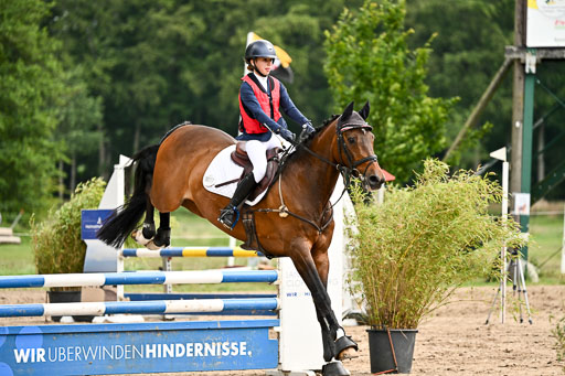 Goldene Schärpe Pferfde in Löningen 2026 | 14062026 Springen 1 Abt_187 