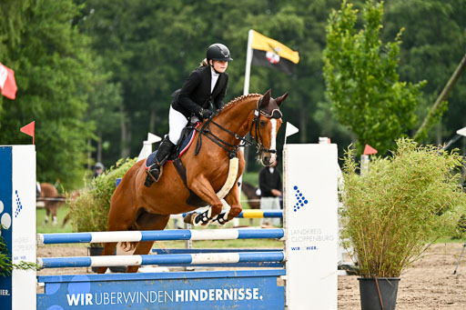 Goldene Schärpe Pferfde in Löningen 2026 | 14062026 Springen 1 Abt_218 