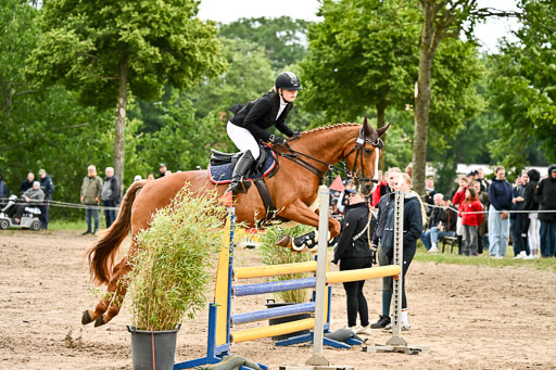 Goldene Schärpe Pferfde in Löningen 2026 | 14062026 Springen 1 Abt_220 
