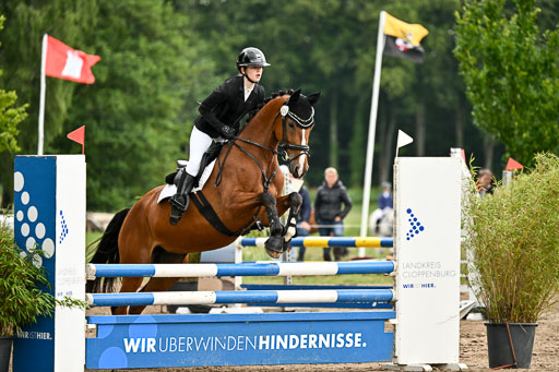 Goldene Schärpe Pferfde in Löningen 2026 | 14062026 Springen 1 Abt_264 