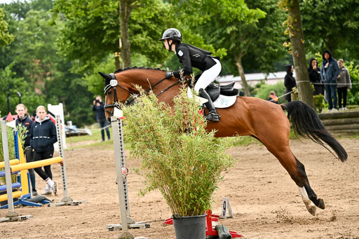 Goldene Schärpe Pferfde in Löningen 2026 | 14062026 Springen 1 Abt_274 