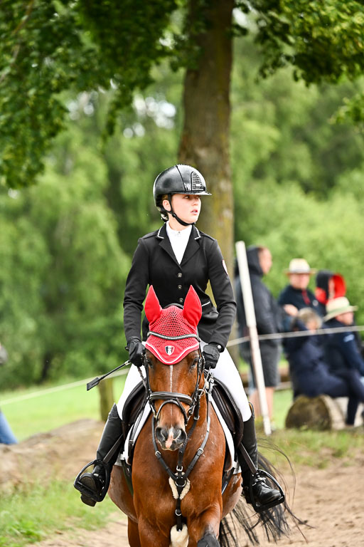 Goldene Schärpe Pferfde in Löningen 2026 | 14062026 Springen 1 Abt_276 