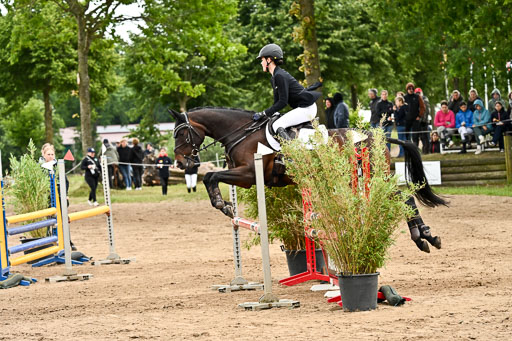 Goldene Schärpe Pferfde in Löningen 2026 | 14062026 Springen 1 Abt_300 