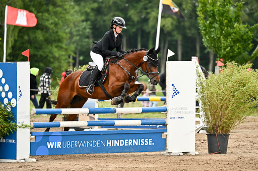 Goldene Schärpe Pferfde in Löningen 2026 | 14062026 Springen 1 Abt_312 