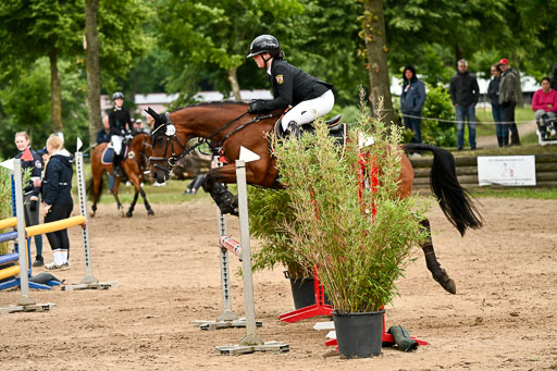 Goldene Schärpe Pferfde in Löningen 2026 | 14062026 Springen 1 Abt_319 