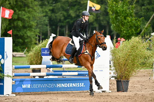 Goldene Schärpe Pferfde in Löningen 2026 | 14062026 Springen 1 Abt_323 